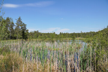 Panorama von der Moorlandschaft Eulenau bei Bad Aibling/Bad Feilnbach