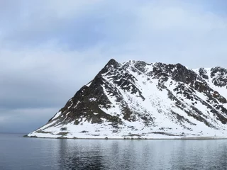 Foto auf Leinwand Fugelsang, Spitsbergen © AGAMI