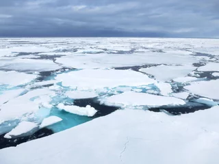 Foto auf Acrylglas Pakijs, Spitsbergen  Pack ice, Svalbard © AGAMI