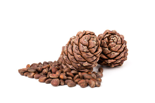 Pine nuts and ripe pine cones on a white background