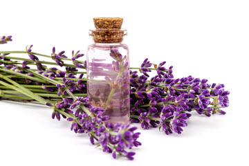 Obraz na płótnie Canvas Glass bottle of Lavender essential oil with fresh lavender flowers on white background, aromatherapy spa massage concept. Lavender oil