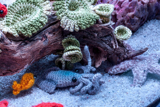 ecological acquarium