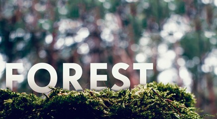 Forest landscape. Macro Moss. Photo with word Forest