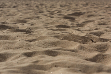 texture of sand