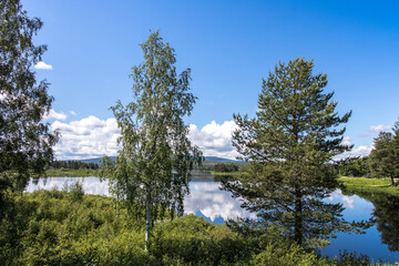 travel sweden and scandinavia, beautiful lake covered with trees and blue sky and white clouds above