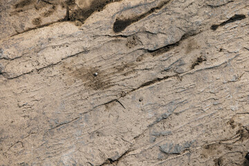 texture of the ground rock