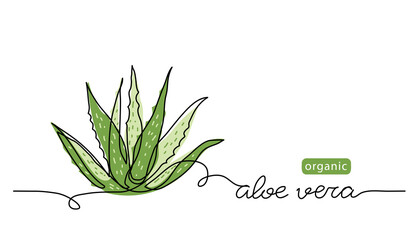 Aloe vera plant sketch, simple vector illustration, background, label design. One continuous line drawing art illustration with lettering organic aloe vera - obrazy, fototapety, plakaty