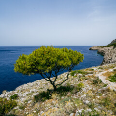 Capri island , Italy, Europe