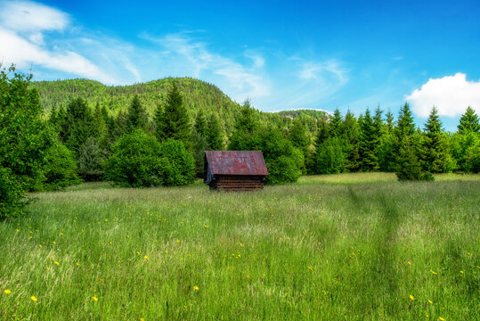 Old hut in green sunny meadow.