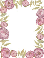 Watercolor hand-drown illustration with pink peonies and green leaves