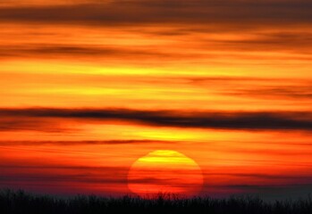 Obraz premium Telephoto sunset with spectacular colors.