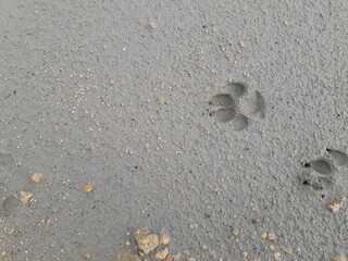 footprint in sand