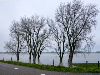 Foto auf Alu-Dibond Hoogwater op de rivier De Lek gezien vanaf de Lekbandijk bij Ravenswaaij © Holland-PhotostockNL