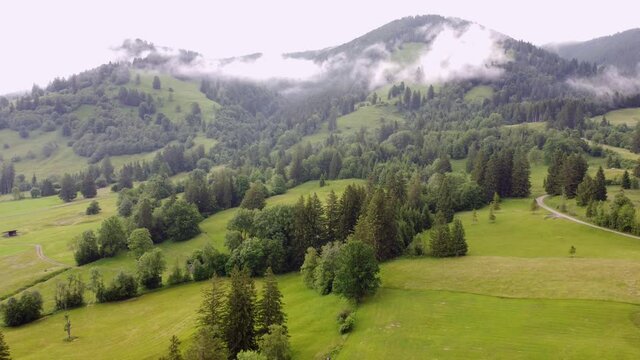 Almwiesen in den Ammergauer Alpen, Drohnenaufnahme