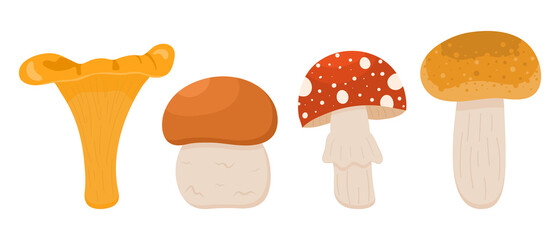 Mushrooms. Vector illustration.