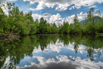 Reflection of sky in pond