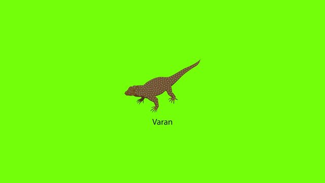 Varan icon animation