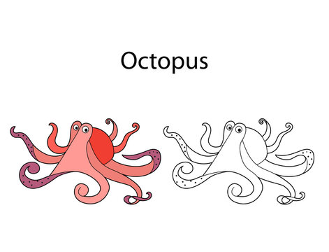 Funny cute animal octopus isolated on white background. Linear, contour, black and white and colored version. Illustration can be used for coloring book and pictures for children