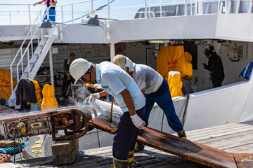 冷凍がつおの陸揚げ
