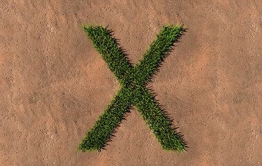 Fototapeta na wymiar Concept conceptual green summer lawn grass symbol shape on brown soil or earth background, font of X. 3d illustration metaphor for nature, conservation, organic, growth, environment, ecology, spring