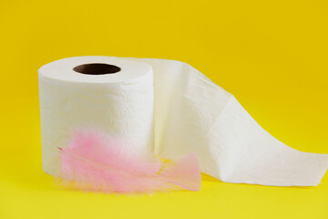 white toilet paper in a roll for hygiene