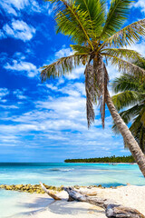 Beautiful tropical beach with white sand. Coconut palm trees on white sandy beach on caribbean island.