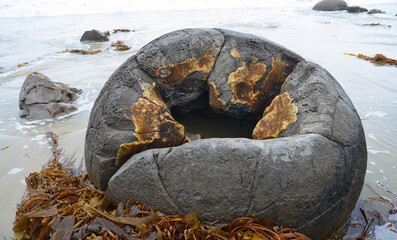 Moeraki Boulders bei Oamaru,  Südinsel Neuseelands, Nationalpark,   Kugel,  Steine