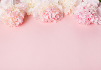 Festive flower pink peony composition on the pink background. Overhead top view, flat lay. Copy space.