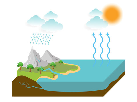 the water cycle illustration infographic. vector esp10
