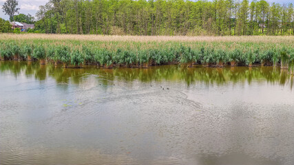 Landscape with a lake and clouds in the sky in the summer season