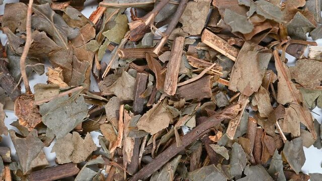 top view herb ZhongJieFeng or Sarcandrae Herba or Glabrous Scrcandra Herb rotating