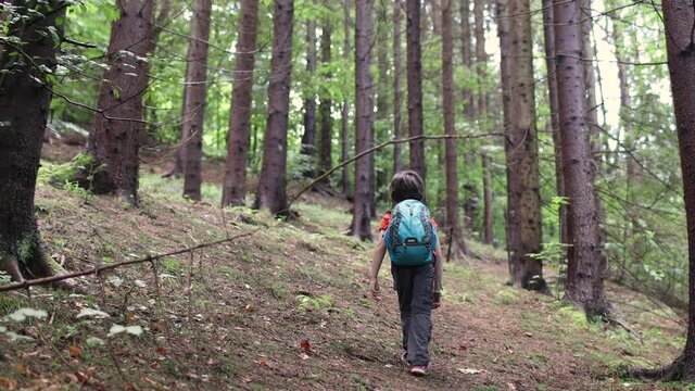 child with a backpack walks through the woods. trekking in the mountains. travel with children.