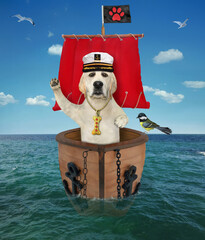 A dog labrador captain in a sailor's hat is on a sailboat with a red sail on the sea.