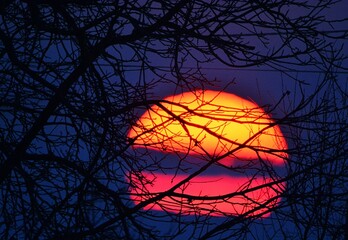 Magical colors of the sun(telephoto)