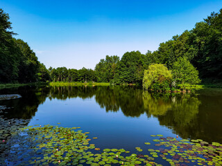 Fototapeta na wymiar The Waldsee in Niedernhausen is located in the middle of the beautiful Tisza Valley.
