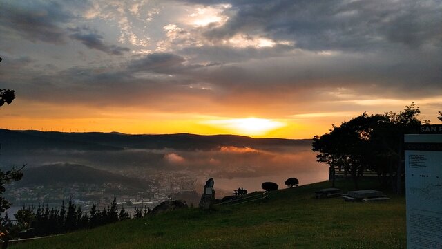 anochecer viveiro
