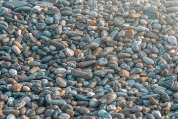 Summer pebble background on the seashore