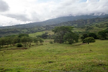 Fototapeta na wymiar Natural landscape on the farm with vegetation and cloudy sky.