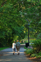 couple walking in the park