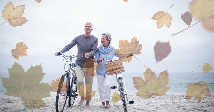 Digital Composite Image Of Multiple Leaves Against Senior Couple Walking With Bicycle At The Beach