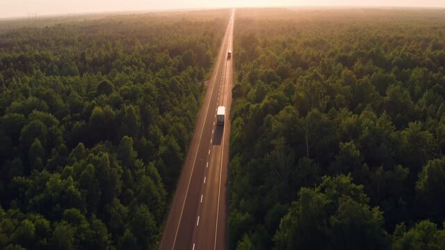 Road transport truck industry forest nature highway car delivery
