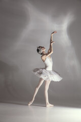 Young graceful balerina in image of white swan in art performance isolated on gray white background. © Lustre Art Group 