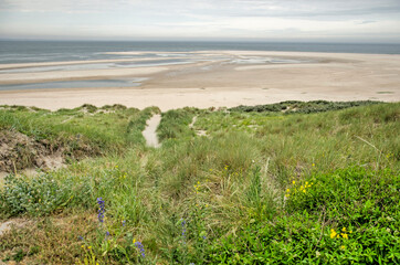 View from a high dune on Maasvlakte industrial area in Rotterdam, The Netherlands across a wide beach and the Northsea beyond