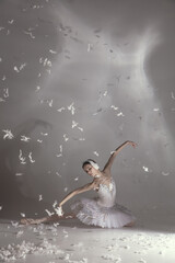 Young graceful balerina in image of white swan in art performance isolated on gray white background. © Lustre Art Group 