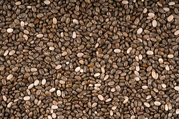 Chia seeds isolated with white background. Pile of healthy chia seeds background.