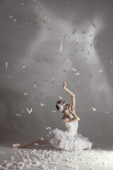 Young graceful balerina in image of white swan in art performance isolated on gray white background. © Lustre Art Group 