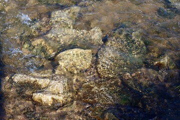 A close view of the rocks and stone though the clear water.