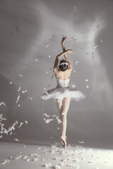 Young graceful balerina in image of white swan in art performance isolated on gray white background. © Lustre Art Group 