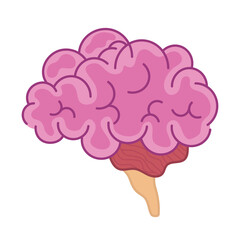 pink brain of side