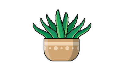 Aloe vera cactus vector illustration in flat style. Succulent icon or object for design
